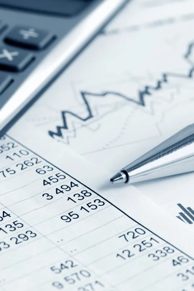 Accounts Preparation services at Financial United LTD
